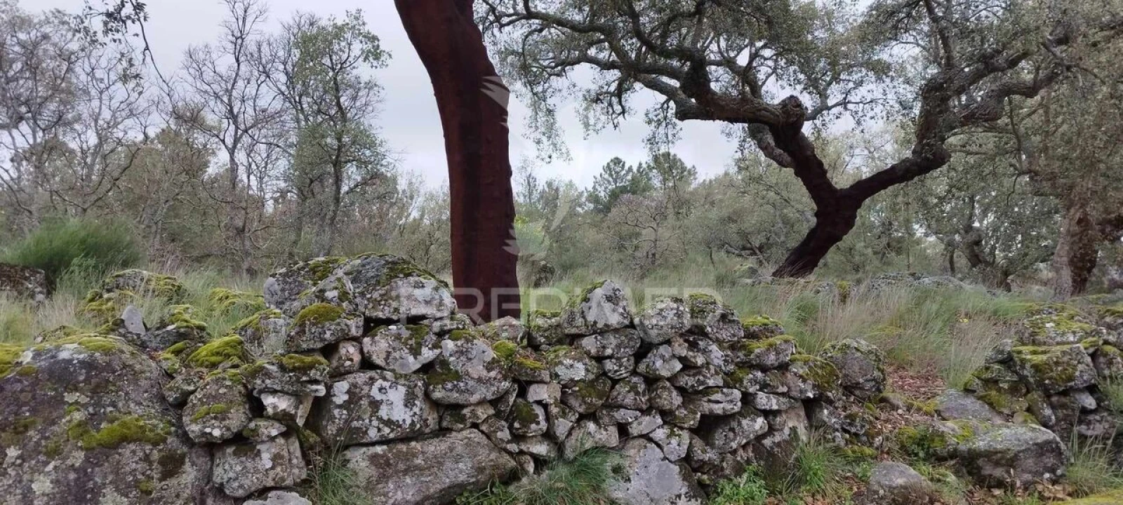 Quinta T0 para Venda em Santa Maria de Marvão Foto 8