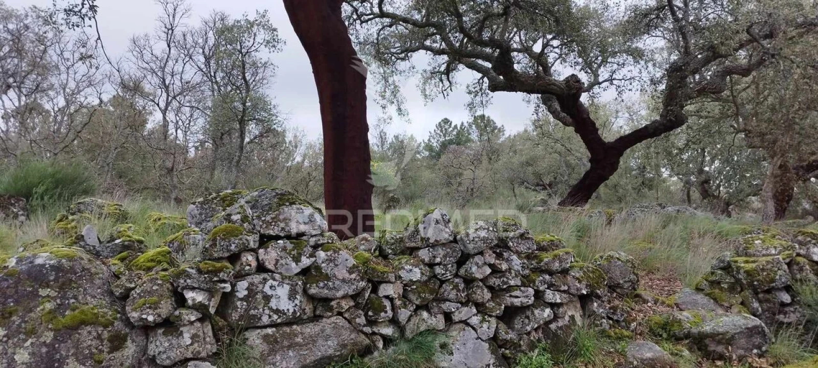 Quinta T0 para Venda em Santa Maria de Marvão Foto 5