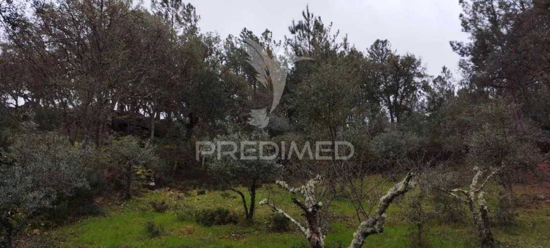 Quinta T0 para Venda em Santa Maria de Marvão Foto 17