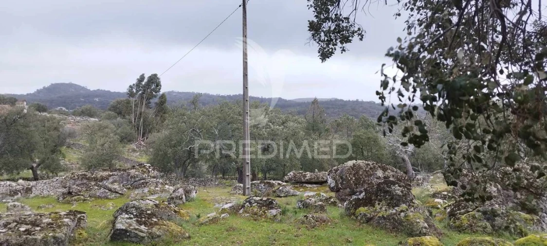 Quinta T0 para Venda em Santa Maria de Marvão Foto 16