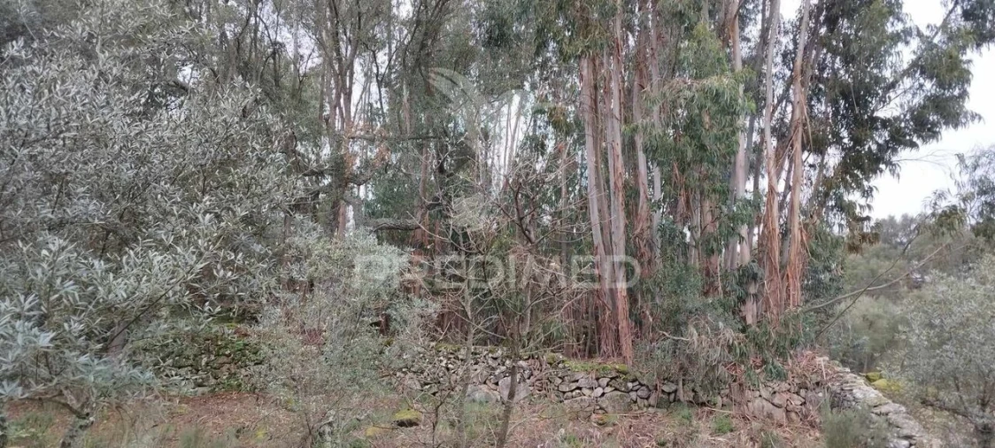 Quinta T0 para Venda em Santa Maria de Marvão Foto 18
