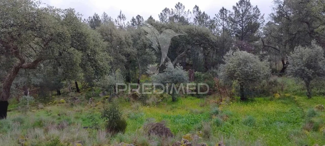 Quinta T0 para Venda em Santa Maria de Marvão Foto 19