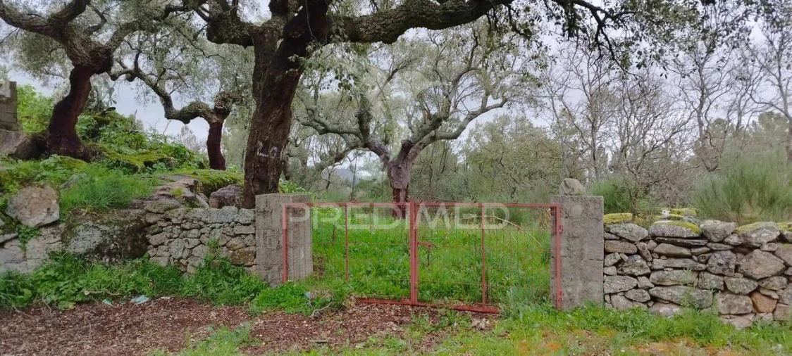 Quinta T0 para Venda em Santa Maria de Marvão Foto 21