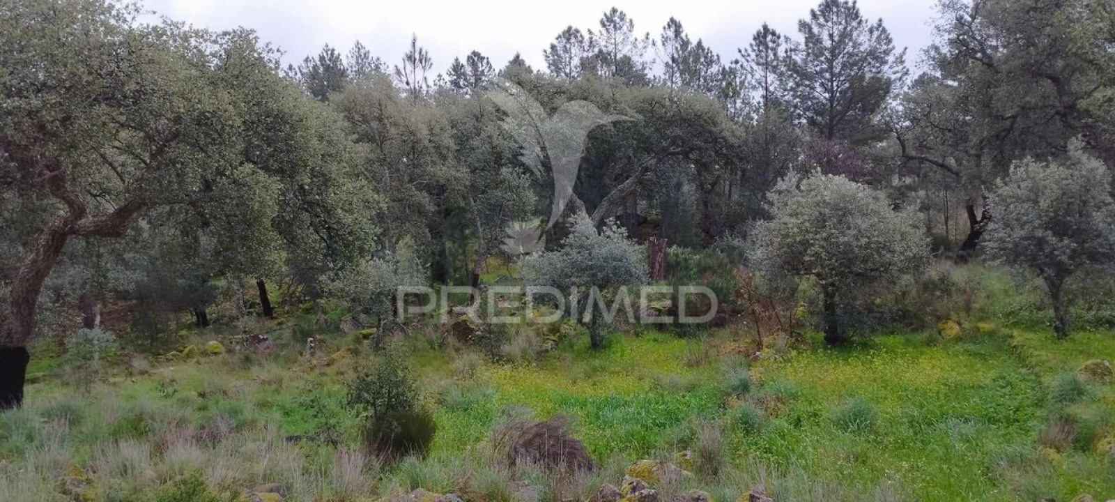 Quinta T0 para Venda em Santa Maria de Marvão Foto 19