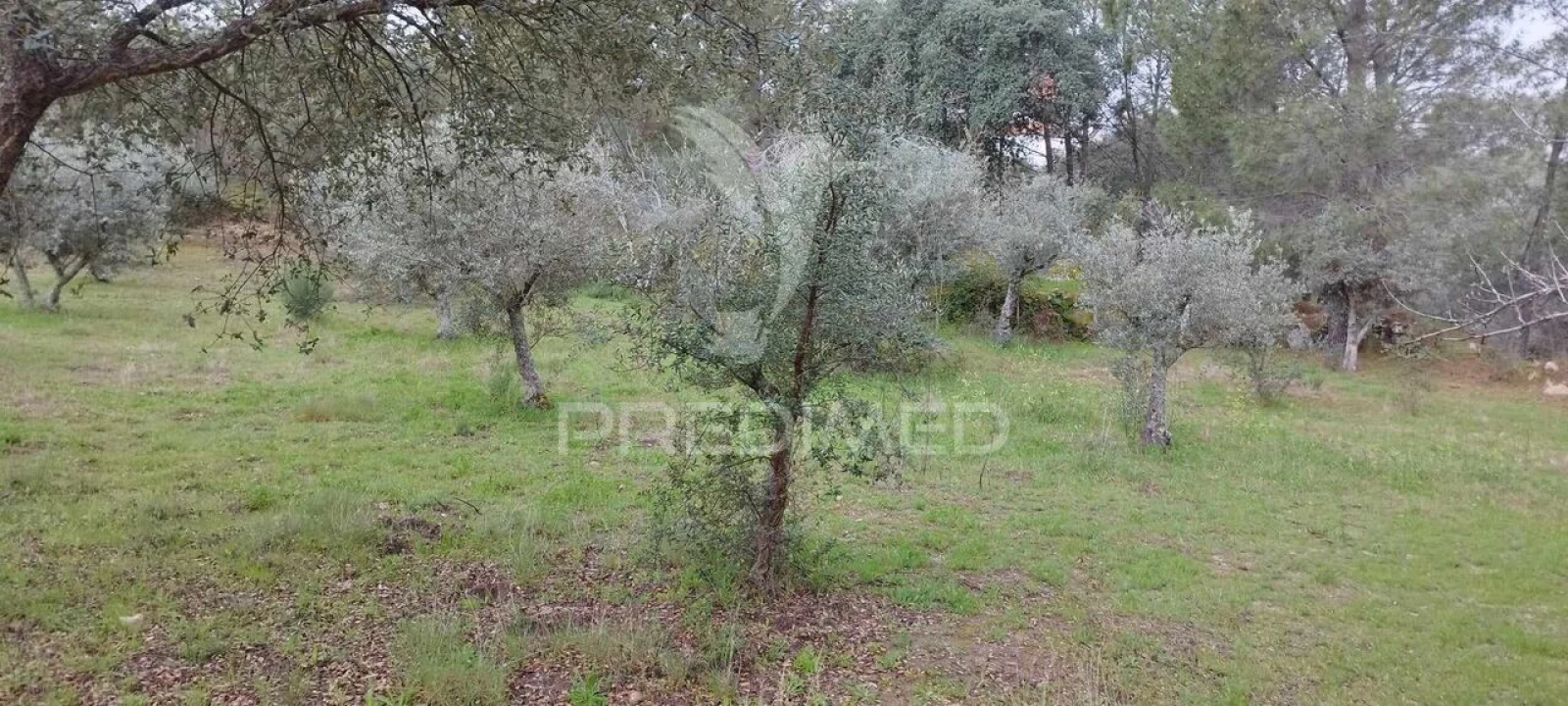 Quinta T0 para Venda em Santa Maria de Marvão Foto 20