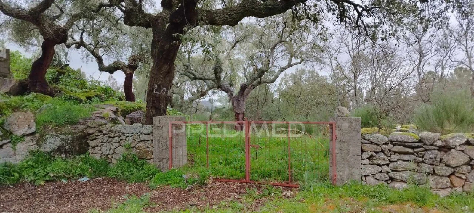 Quinta T0 para Venda em Santa Maria de Marvão Foto 21