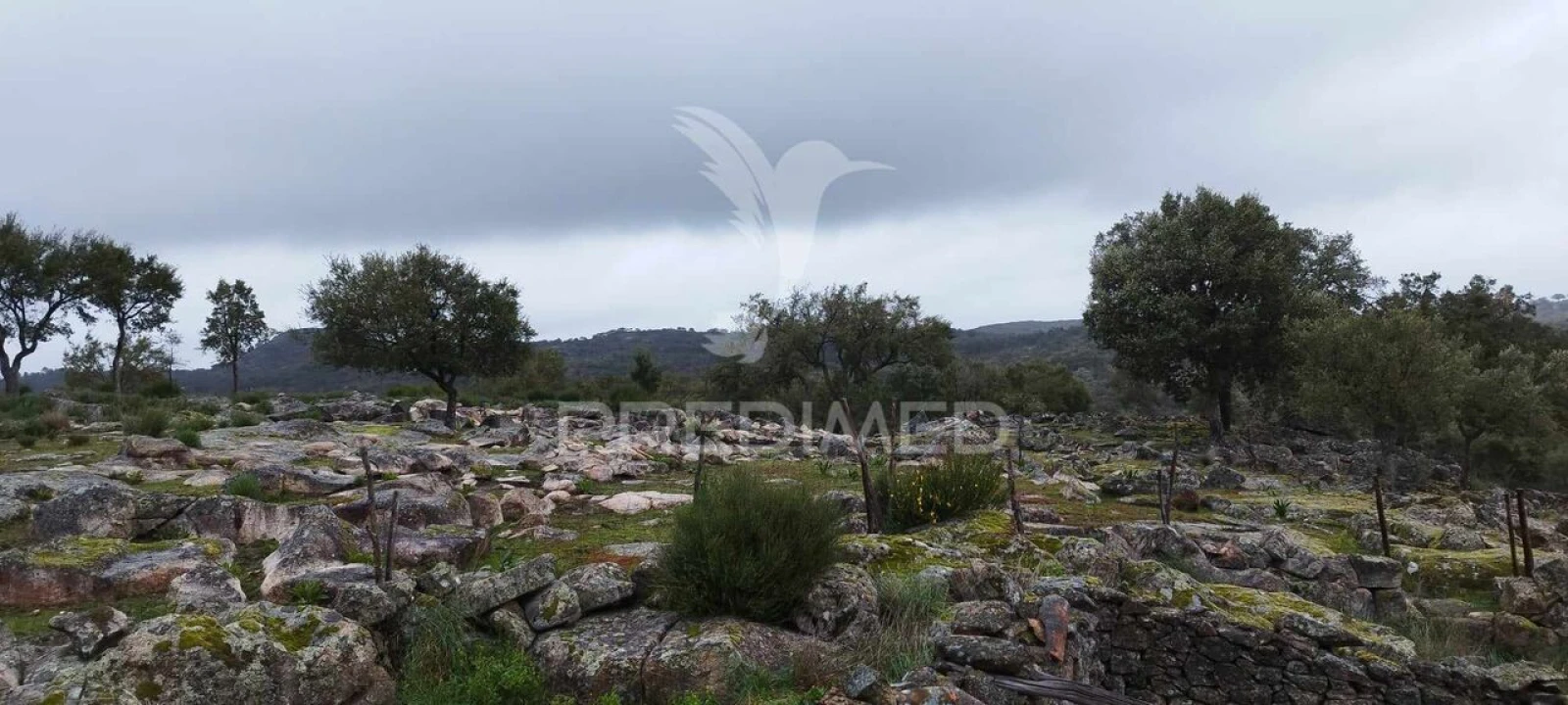 Quinta T0 para Venda em Santa Maria de Marvão Foto 15