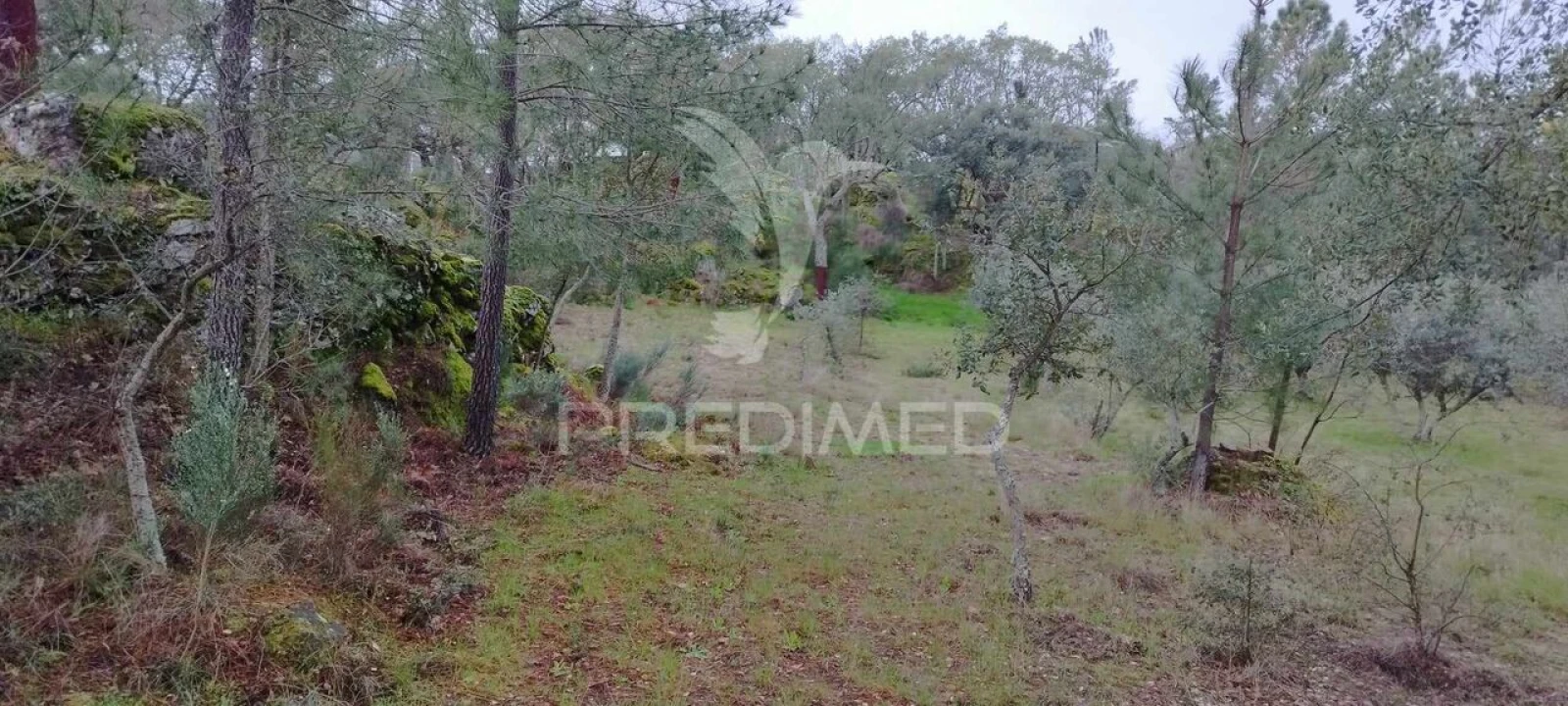 Quinta T0 para Venda em Santa Maria de Marvão Foto 11