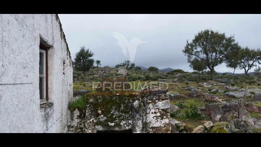 Quinta T0 para Venda em Santa Maria de Marvão