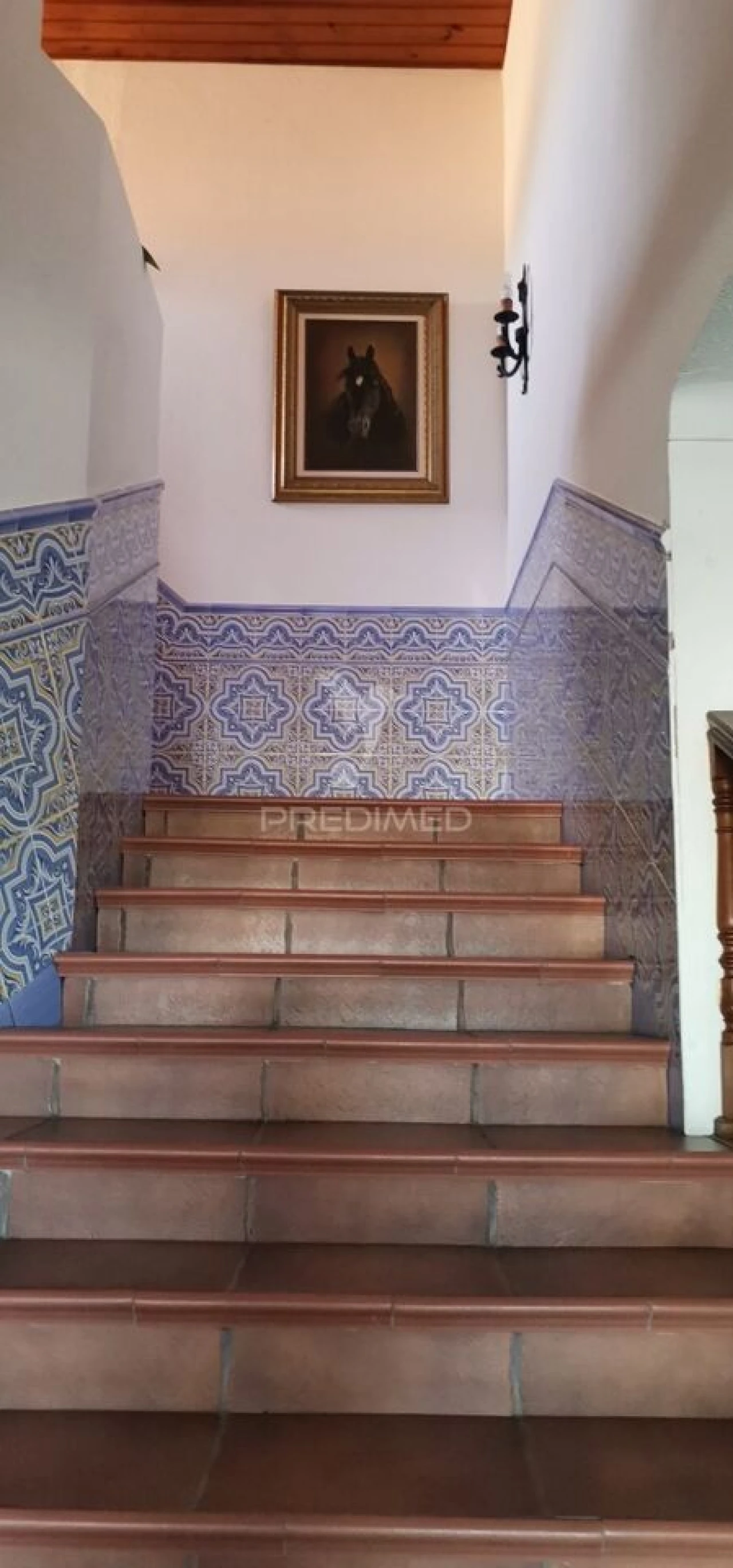 Negócio para Venda em Alter do Chão Foto 23