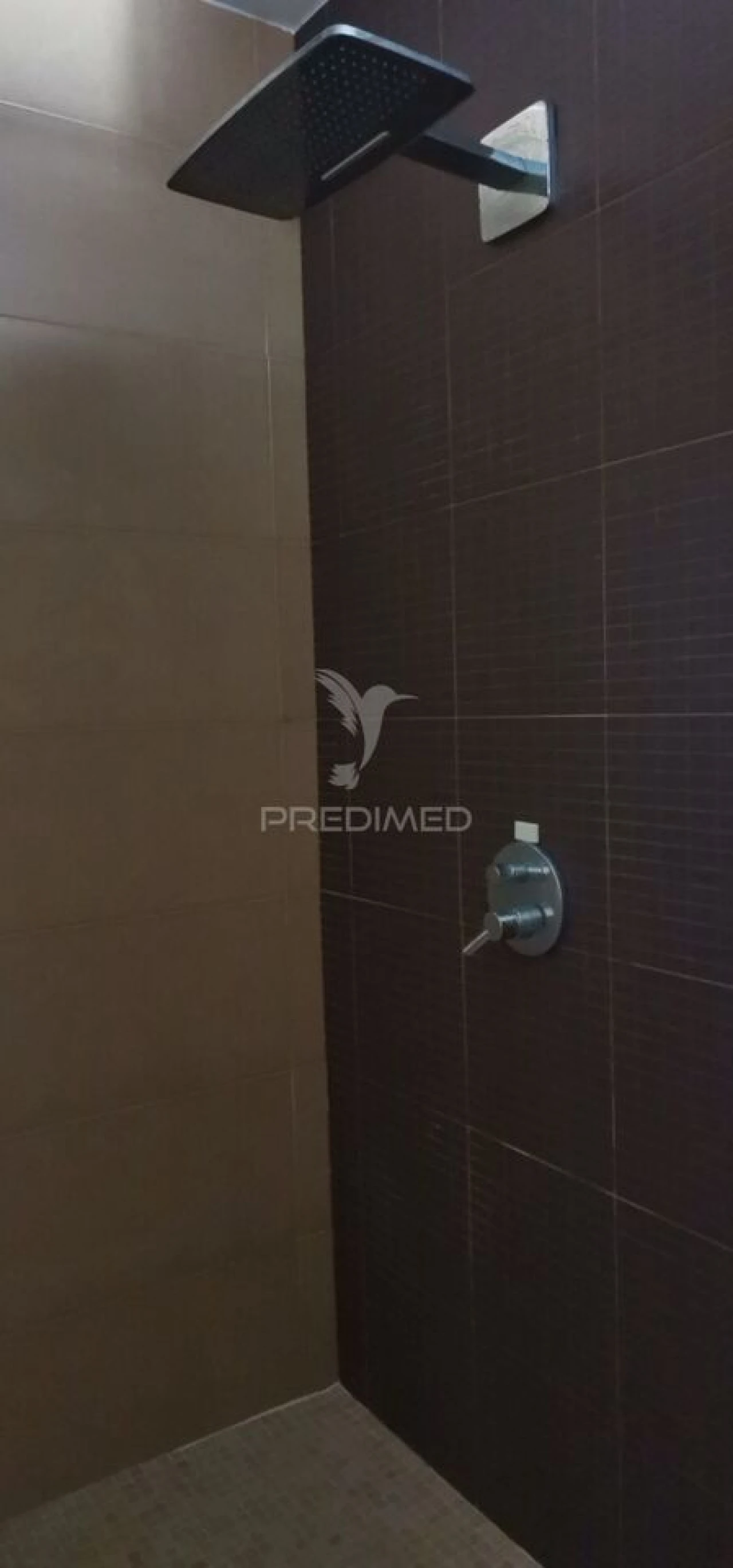 Negócio para Venda em Alter do Chão Foto 21