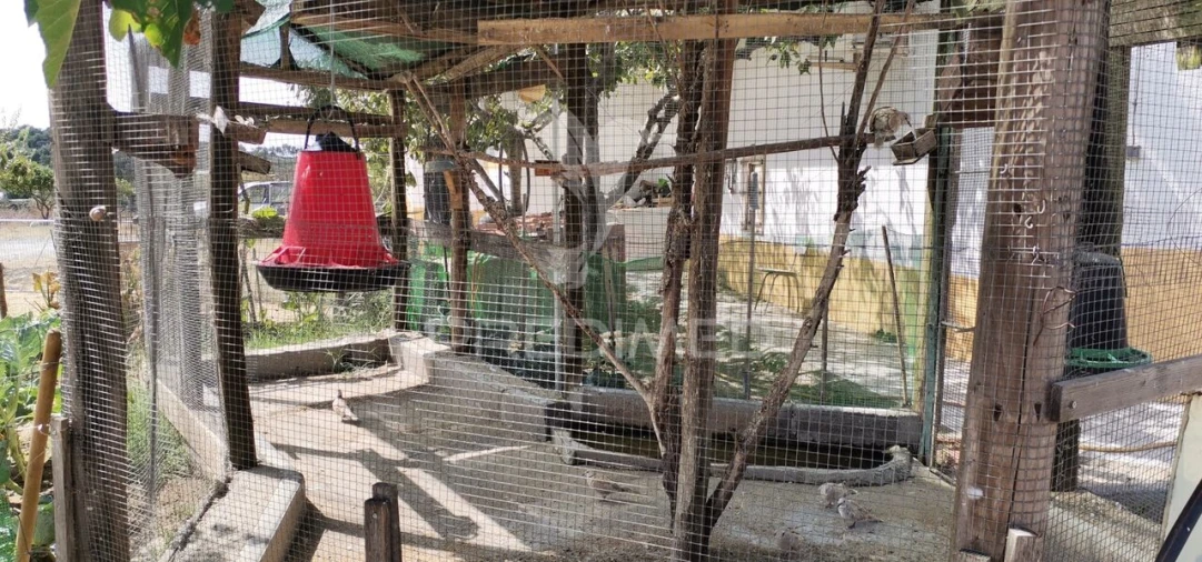 Negócio para Venda em Alter do Chão Foto 26