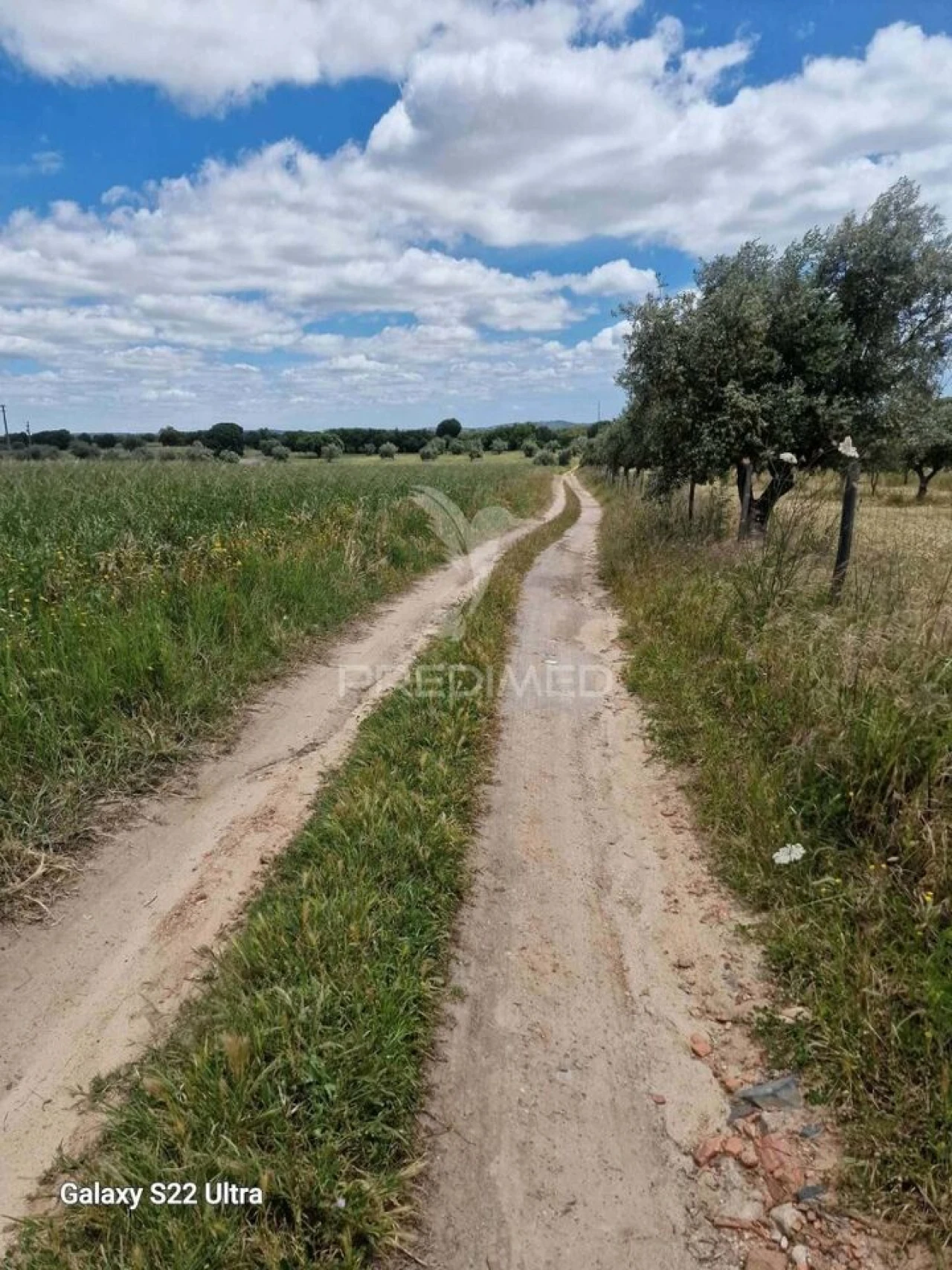 Terreno para Venda em Torrão Foto 15