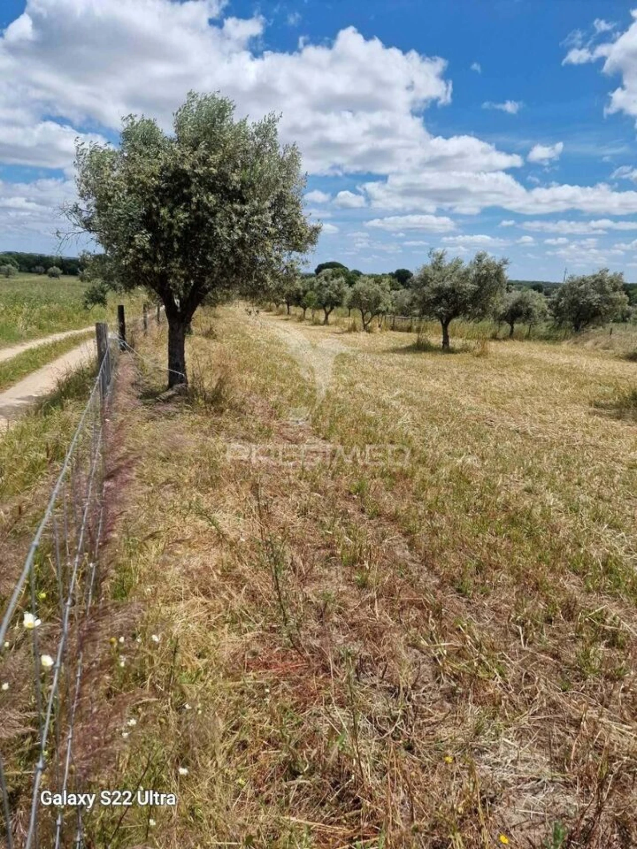 Terreno para Venda em Torrão Foto 11