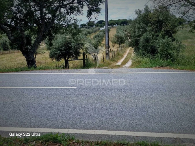 Terreno para Venda em Torrão Foto 21