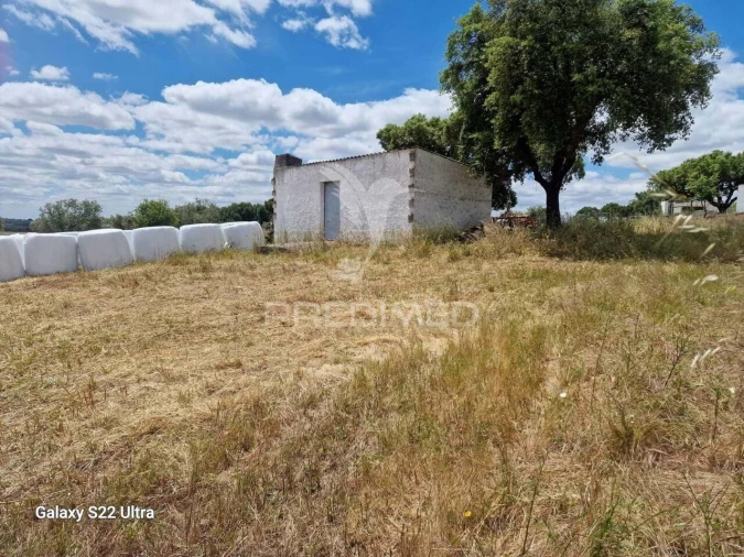 Terreno para Venda em Torrão Foto 5