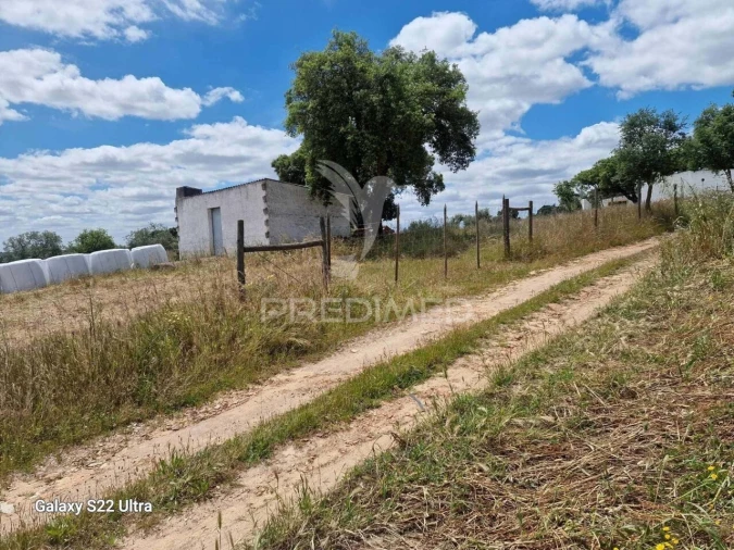 Terreno para Venda em Torrão Foto 4