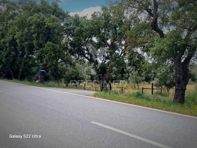 Terreno para Venda em Torrão Foto 23