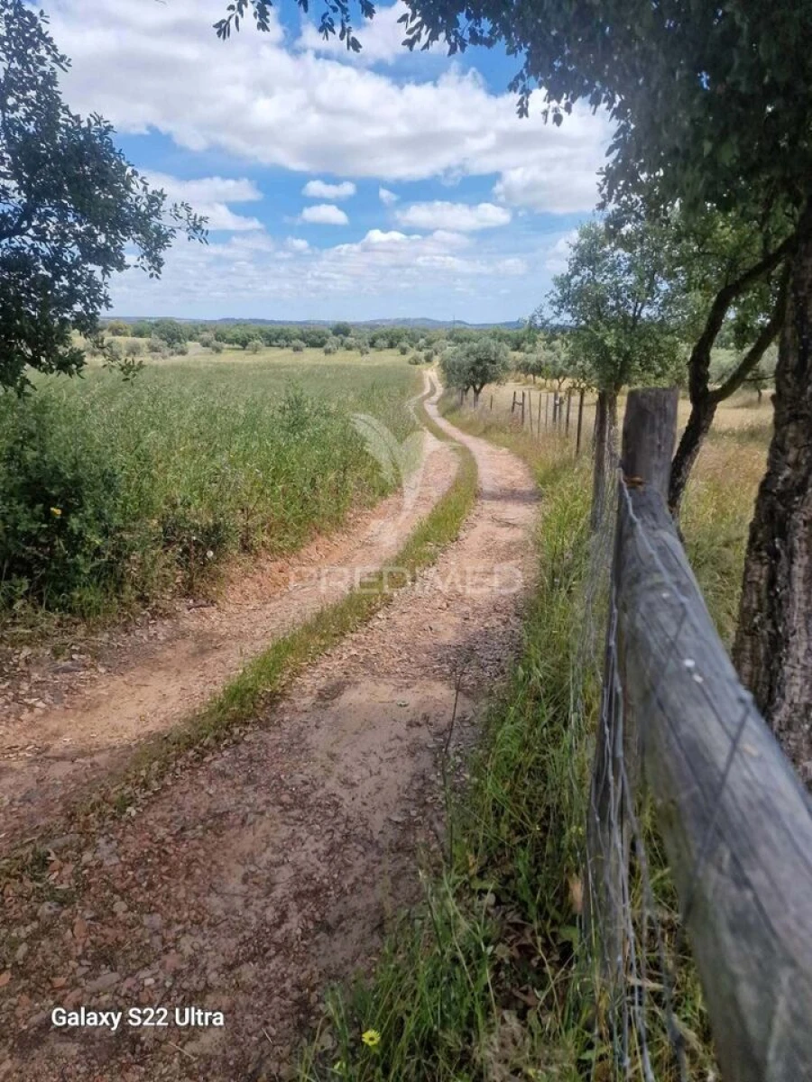 Terreno para Venda em Torrão Foto 18