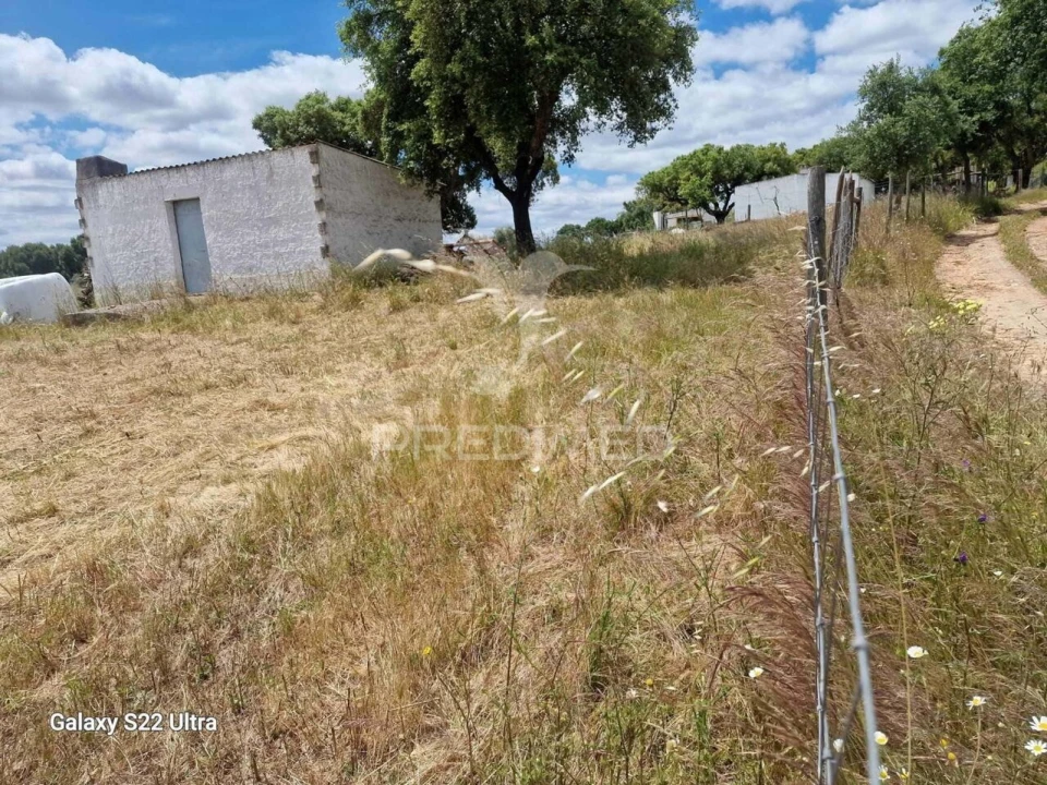 Terreno para Venda em Torrão Foto 3