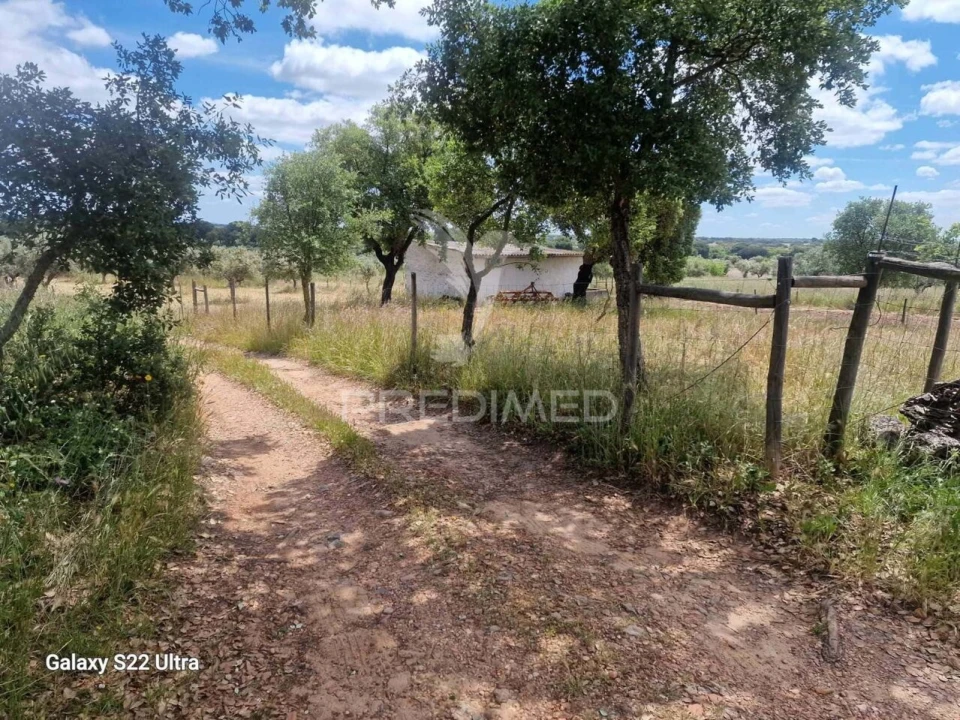 Terreno para Venda em Torrão Foto 8