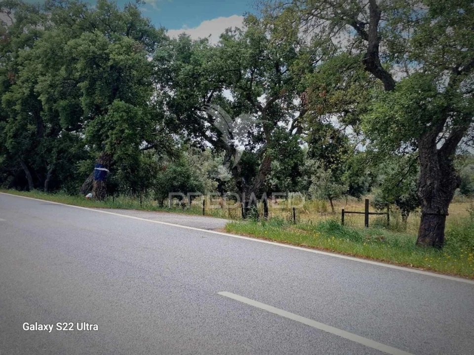 Terreno para Venda em Torrão Foto 23