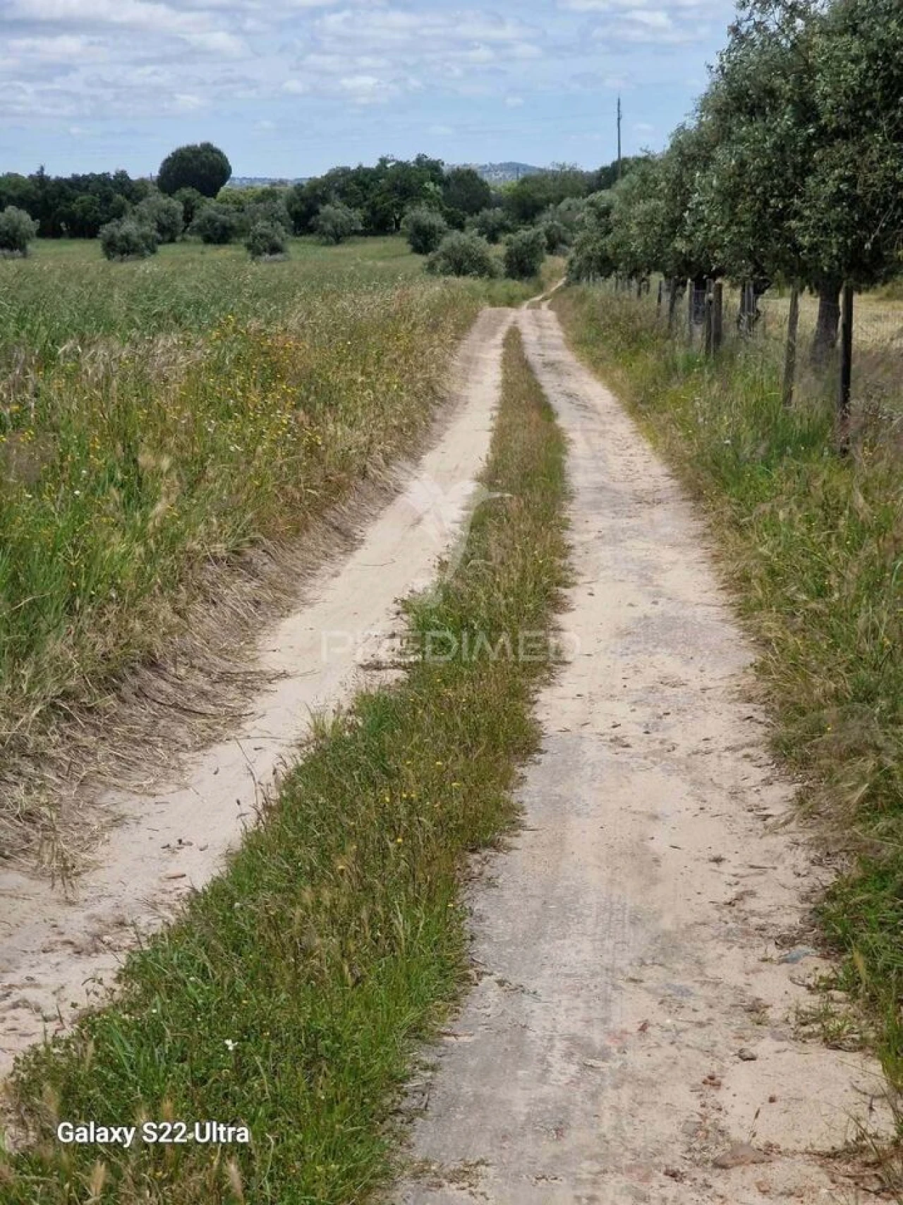 Terreno para Venda em Torrão Foto 17