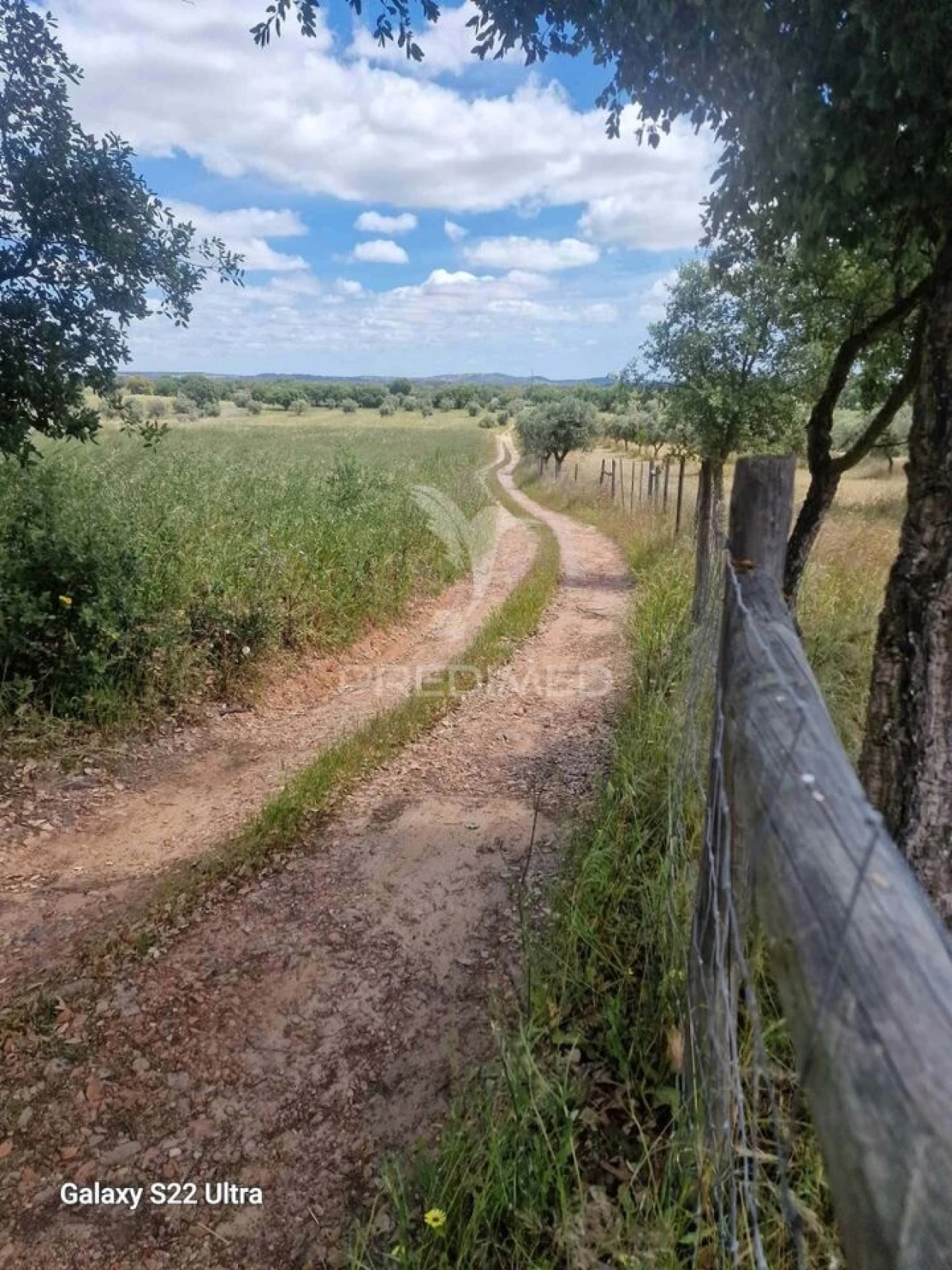 Terreno para Venda em Torrão Foto 18