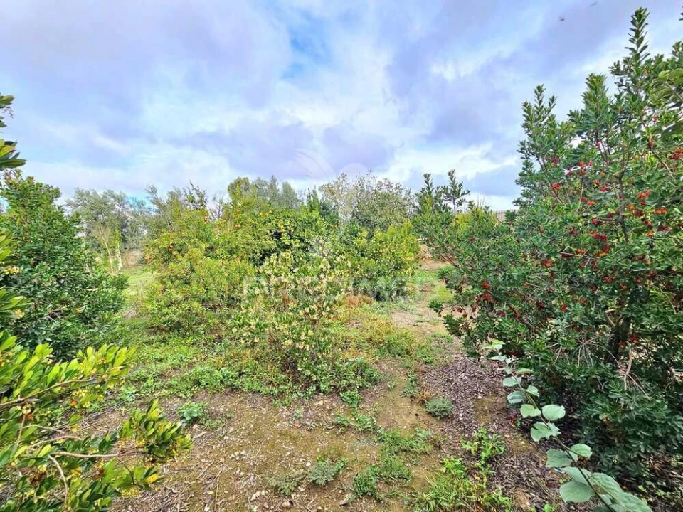 Terreno para Venda em Entradas Foto 10