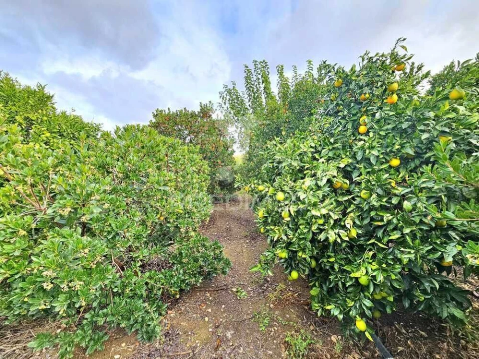 Terreno para Venda em Entradas Foto 2