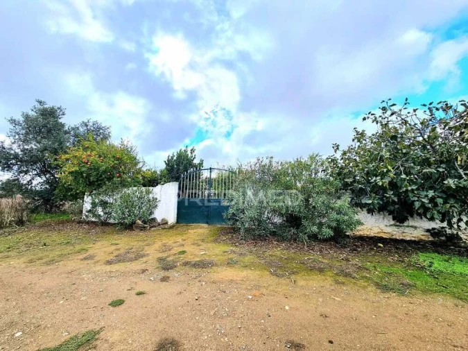 Terreno para Venda em Entradas Foto 3