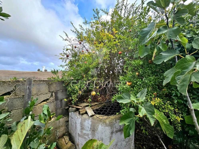 Terreno para Venda em Entradas Foto 5