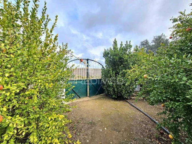 Terreno para Venda em Entradas