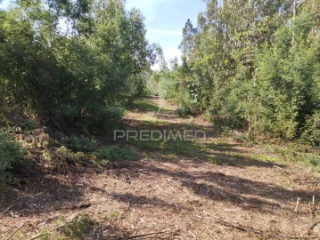 Terreno para Venda em Eixo e Eirol