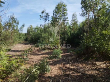 Terreno para Venda em Eixo e Eirol