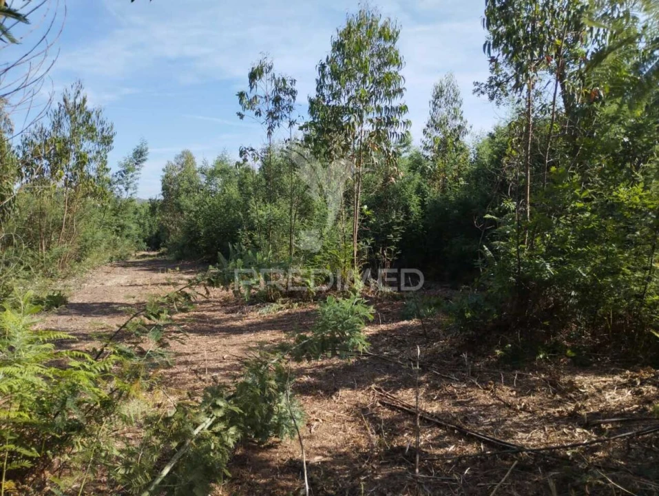 Terreno para Venda em Eixo e Eirol Foto 6