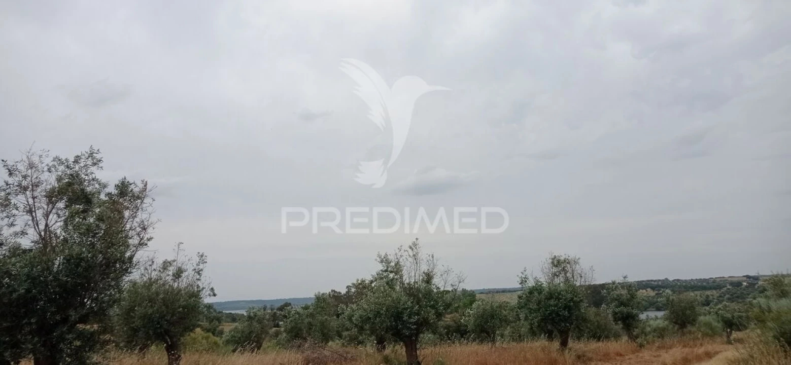 Terreno para Venda em Avis Foto 8