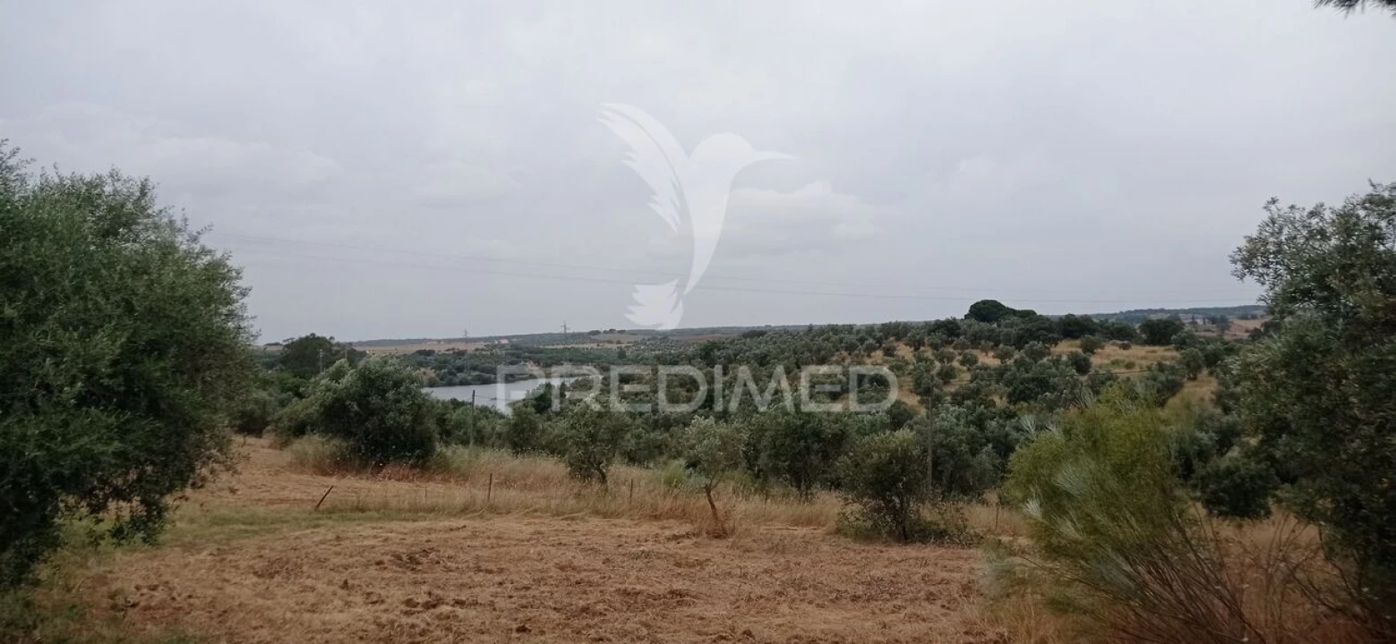 Terreno para Venda em Avis Foto 1