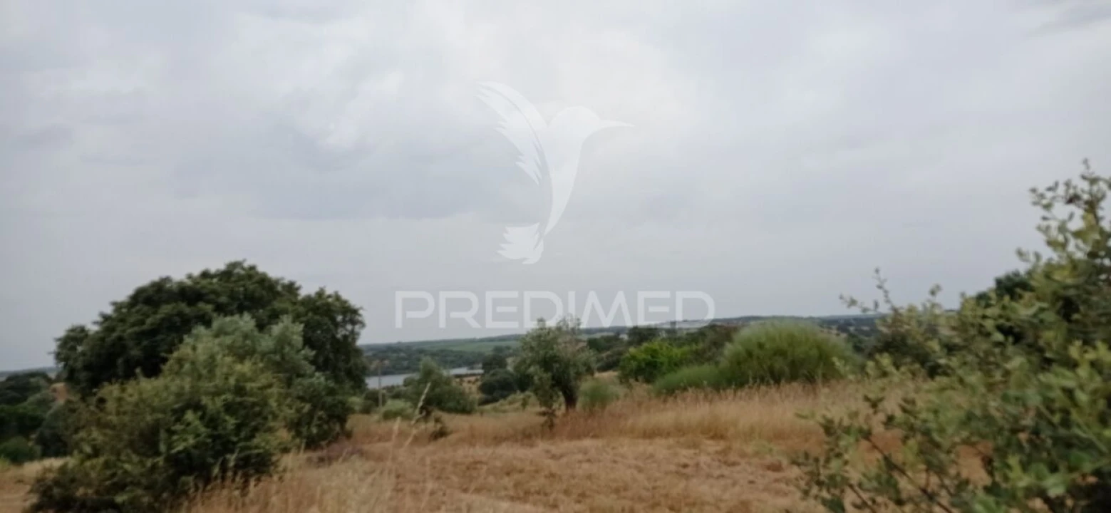 Terreno para Venda em Avis Foto 6