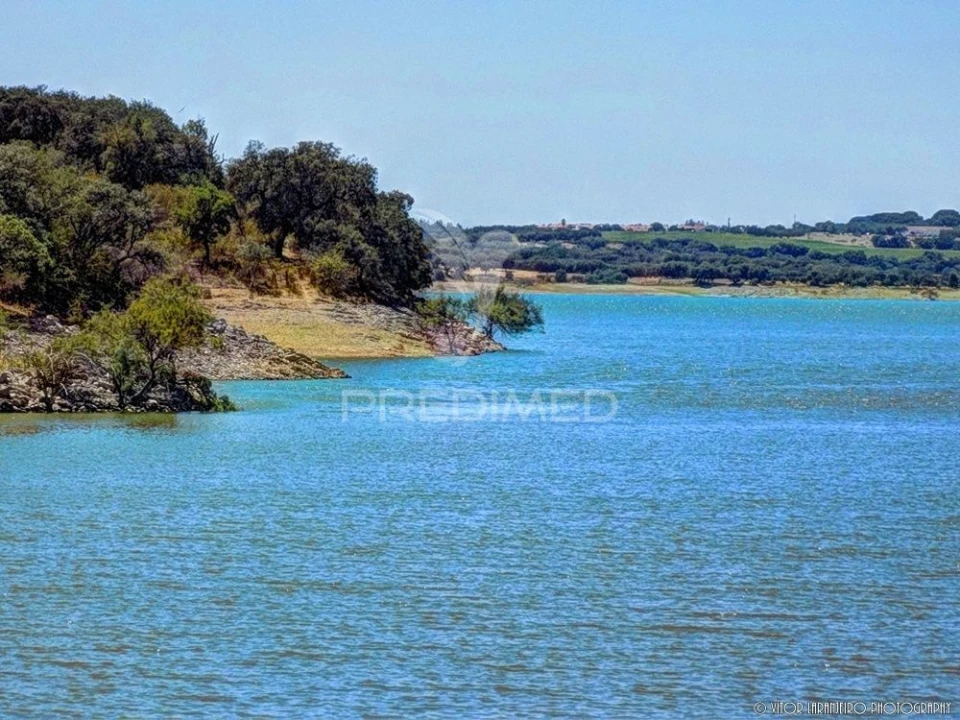 Terreno para Venda em Avis Foto 3