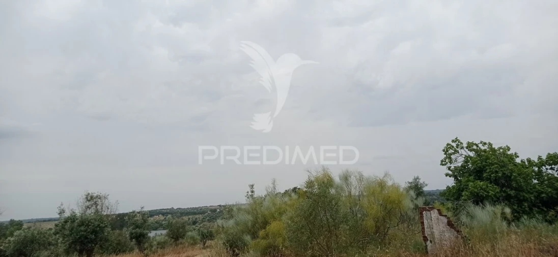 Terreno para Venda em Avis Foto 7