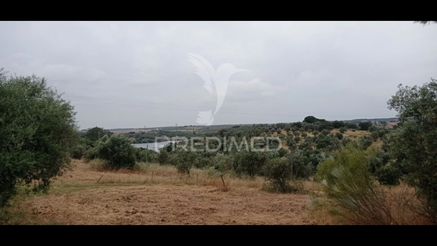 Terreno para Venda em Avis