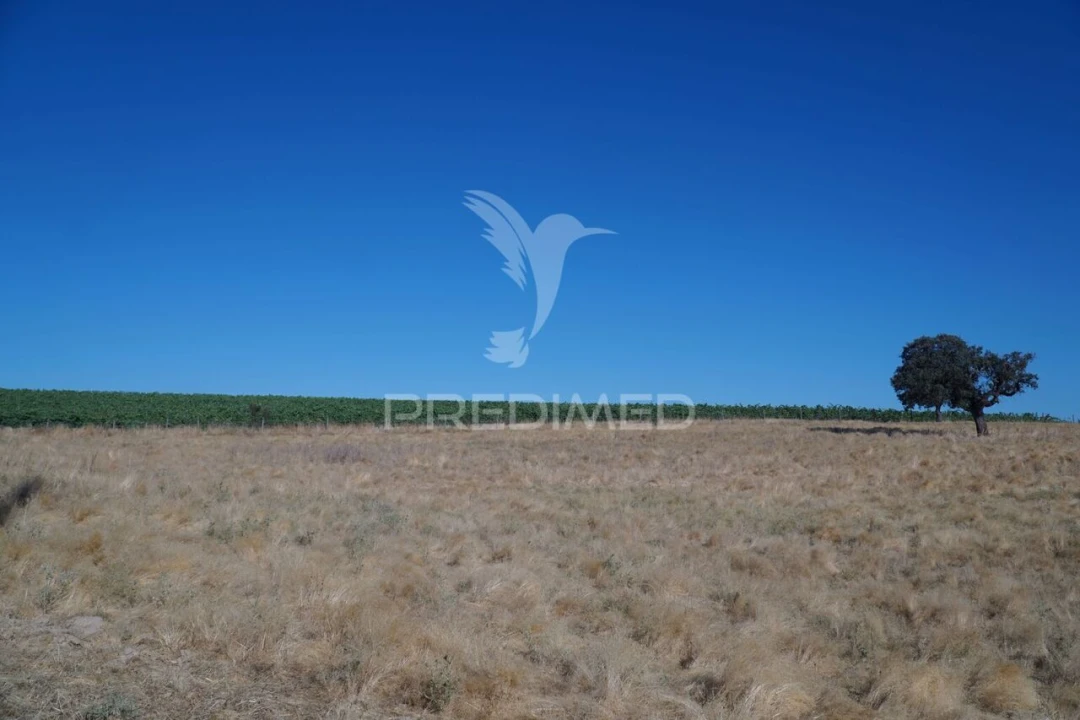 Quinta T0 para Venda em Santiago Maior Foto 27