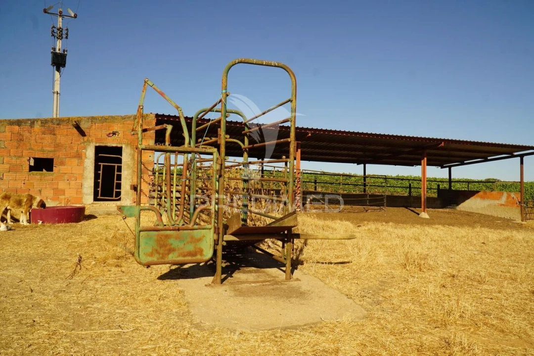 Quinta T0 para Venda em Santiago Maior Foto 36