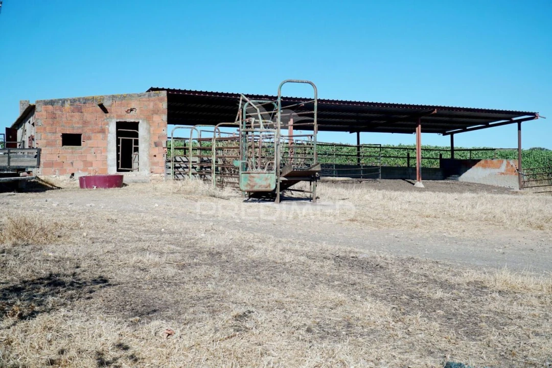 Quinta T0 para Venda em Santiago Maior Foto 33