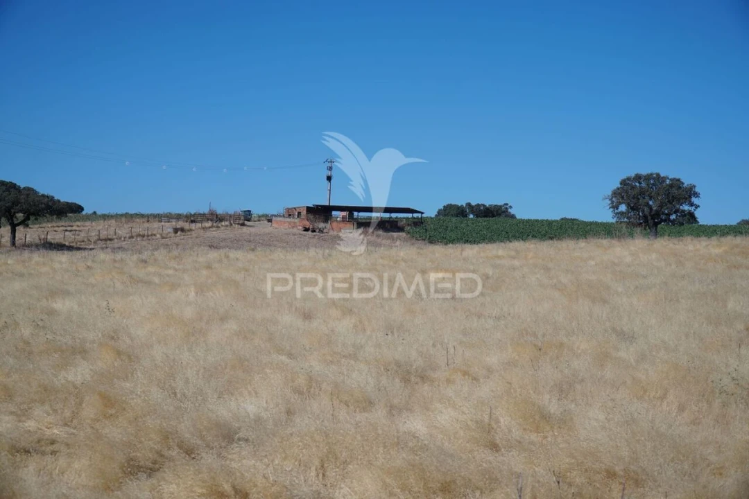 Quinta T0 para Venda em Santiago Maior Foto 23