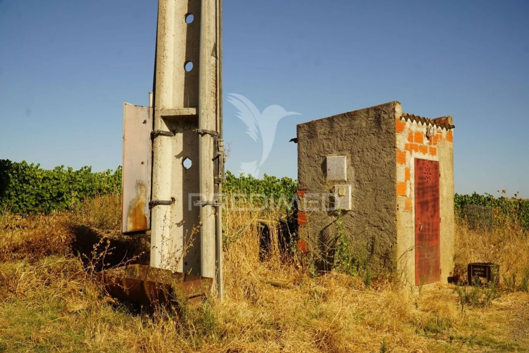 Quinta T0 para Venda em Santiago Maior Foto 38