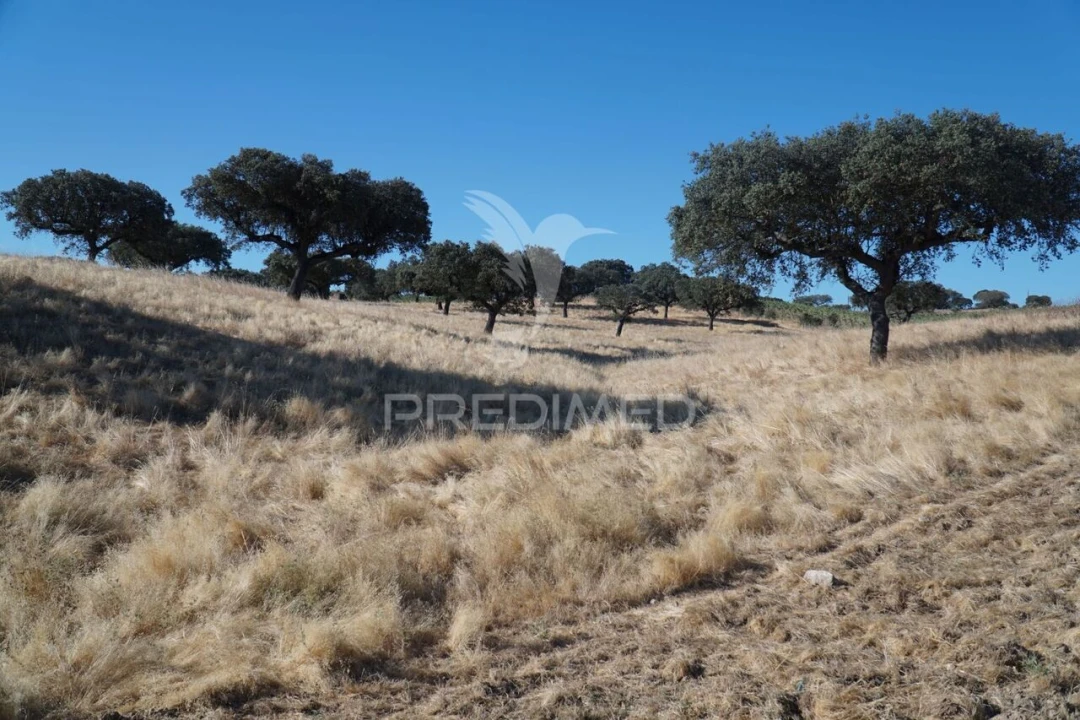 Quinta T0 para Venda em Santiago Maior Foto 30