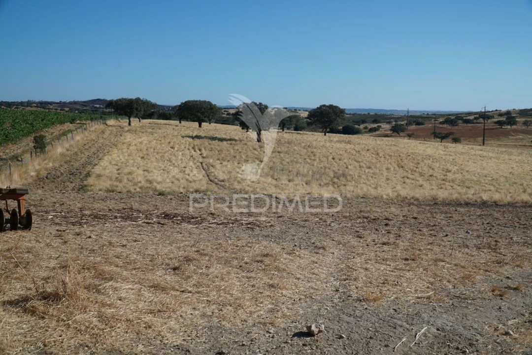 Quinta T0 para Venda em Santiago Maior Foto 22