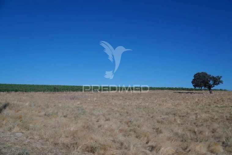 Quinta T0 para Venda em Santiago Maior Foto 27